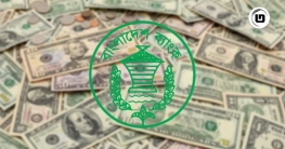 ৭ দিনে এল ৯ হাজার কোটি টাকার বেশি রেমিট্যান্স